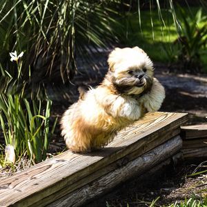 Meet your Posher, Tina